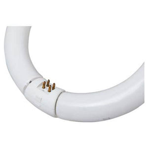 GE 32-Watt 12" Garage and Basement Cool White Circline T9 Light Bulb