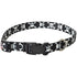 Pet Attire Styles Skulls Adjustable Dog Collar - 18"-26" Long x 1" Wide