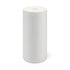 PENTAIR OMNIFILTER 10" 50 Micron Heavy-duty Whole House Polyspun Cartridge