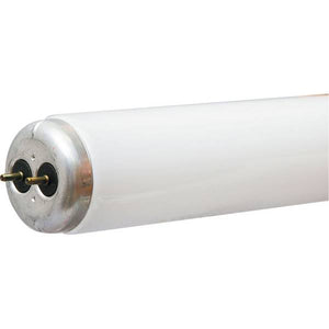 GE 2-Pack 48" 40-Watt Warm White T12 Kitchen & Bath Light Bulbs