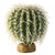 Exo-Terra Desert Barrel Cactus Terrarium Plant - Large - 1 Pack