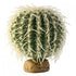 Exo-Terra Desert Barrel Cactus Terrarium Plant - Large - 1 Pack