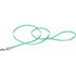 Coastal Pet Single-ply Nylon Dog Leash Teal - 4'L x 3/8"W