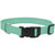 Coastal Pet Teal Nylon Tuff Dog Collar with Plastic Buckle - 8-12