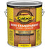 Cabot 1 Gallon Neutral Base Semi-Transparent Stain + Sealer