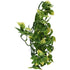 Exo-Terra Amapallo Forest Shrub - Medium (16"L x 7"W)