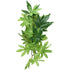 Exo-Terra Silk Abuliton Forest Plant - Small