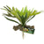 Zoo Med Naturalistic Flora Staghorn Fern - 1 count