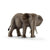 Schleich Wild Life African Elephant Female