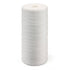 PENTAIR OMNIFILTER Heavy-Duty Replacement Cartridge
