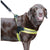 Sporn Easy Fit Dog Harness Yellow- Large 1 count