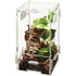 Zilla Micro Habitat Arboreal Home for Tree Dwelling Small Pet - Small