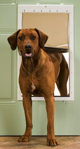 PetSafe Plastic Dog Door - Extra Large