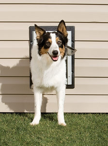 PetSafe Wall Dog Door - Medium