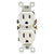 Leviton Quickwire Push - In and Side Wired Grounding Straight Blade Receptacle
