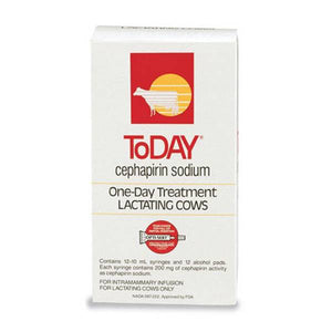 ToDAY Mastitis Treatment For Lactating Cows
