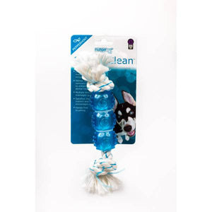 Multipet International 6.5" Canine Clean Peppermint Flavored Chew Toy