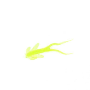 Clam Chartreuse Glow Matdi