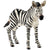 Schleich Wild Life Zebra Foal