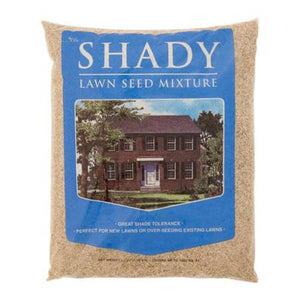 Mountain View Seeds Dense Shade Mix Lawn Seed Mixture
