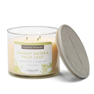 Candle-Lite 14.75 oz Coconut Water & Palm Leaf 3 Wick Candle
