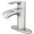 AquaVista Single-Handle Brushed Nickel Bathroom Faucet