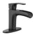 AquaVista Black 1-Handle Open Spout Faucet