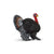 Schleich Farm World Turkey Toy