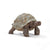 Schleich Wild Life Giant Tortoise Toy