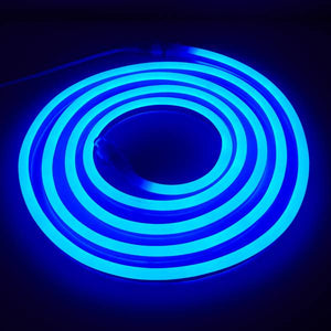 AmerTac Westek Indoor/Outdoor Neon LED Blue Rope Light Kit