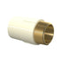 Tigre 1/2" CPVC Male Transition Adapter