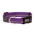 Terrain Large Purple Reflective Snap-N-Go Adjustable Dog Collar