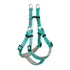 Terrain Medium Mint Reflective Neoprene Lined Dog Harness