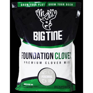 Big Tine Foundation Clover
