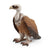 Schleich Wild Life Vulture Toy