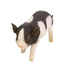 Exhart 9" Black and White Piglet Statue