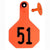 Y-Tex #51-75 All American Medium Orange Ear Tag