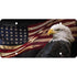 Cruiser Accessories Novelty Eagle Plate