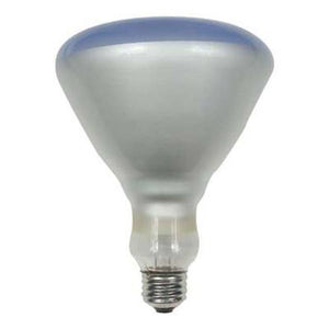 GE 120-Watt R40 Plant Light Bulb