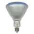 GE 120-Watt R40 Plant Light Bulb