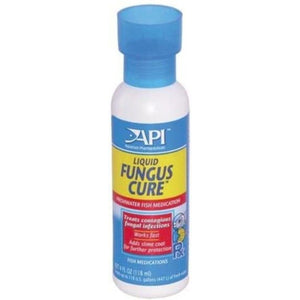 API Liquid Fungus Cure Freshwater Fish Medication for Aquariums - 4 oz