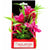 Aquatop Vibrant Passion Aquarium Plant Rose - 6