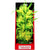 Aquatop Vibrant Passion Aquarium Plant Yellow - 10