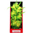 Aquatop Vibrant Passion Aquarium Plant Yellow - 10" tall