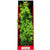 Aquatop Vibrant Garden Aquarium Plant Green - 16