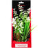 Aquatop Vibrant Wild Aquarium Plant White - 10" tall