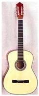 bulk buys 6 string acoustic guitar, Case of 2
