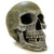 Blue Ribbon Human Skull Ornament - 7.5