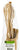 Bamboo Utensil Set With Container - Pack of 12