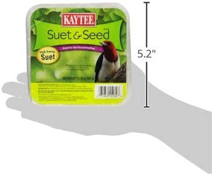 Kaytee Suet & Seed Cake, 11.75 Oz (Pack of 1)
